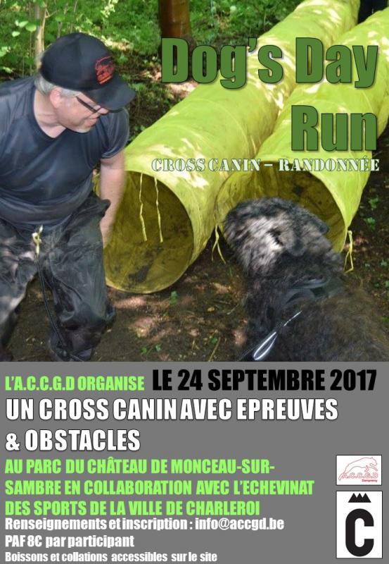 Affiche d dogs run